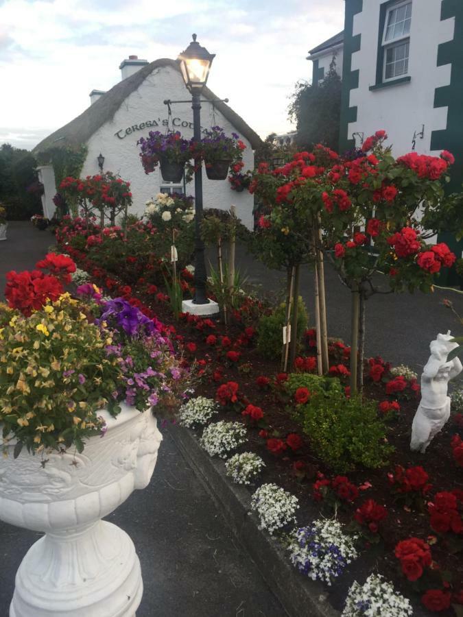Teresas Cottage ドネゴール エクステリア 写真