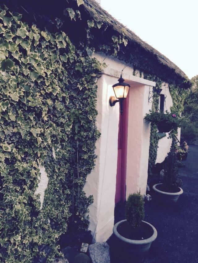 Teresas Cottage ドネゴール エクステリア 写真