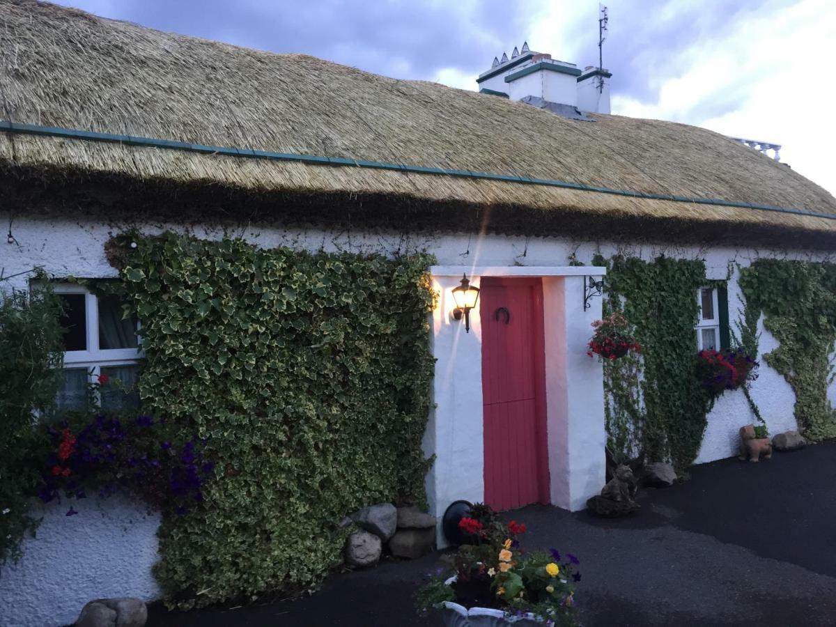 Teresas Cottage ドネゴール エクステリア 写真
